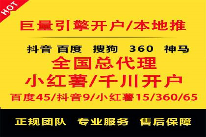 案例对比：SEO与SEM优化效果深度分析